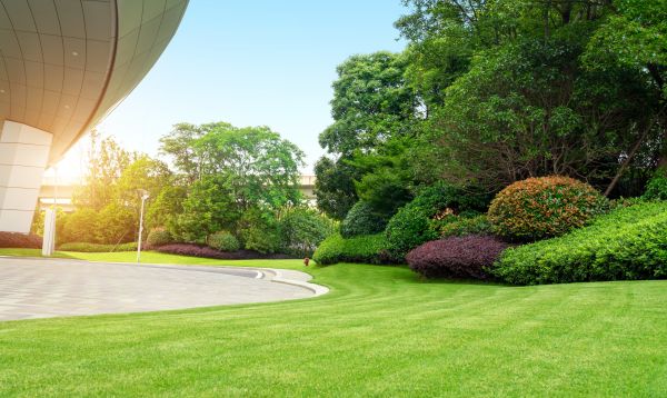 Commercial Lawn Care in Springfield