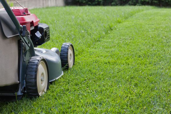 Lawn Care Service in Springfield