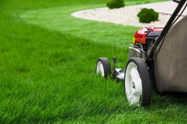 Yard Maintenance in Springfield