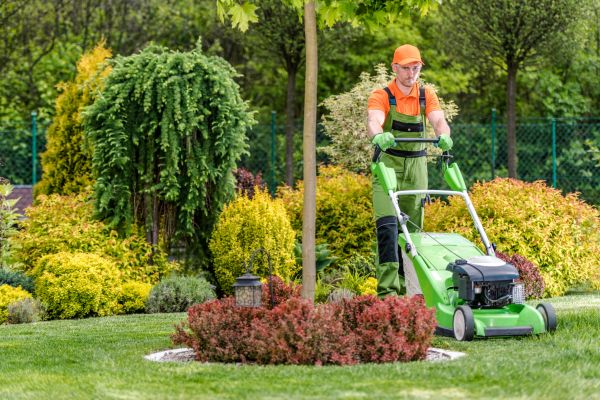 Yard Service in Springfield