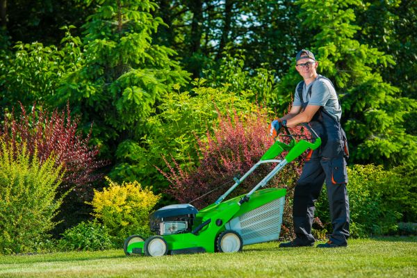 Yard Work Service in Springfield