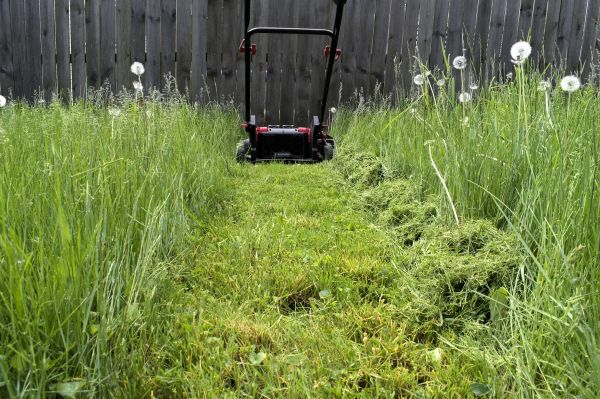 High Grass Mowing Service