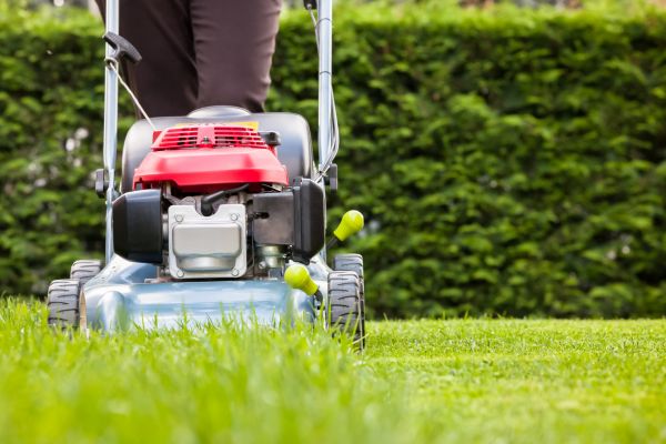 Grass Trimming Service in Springfield