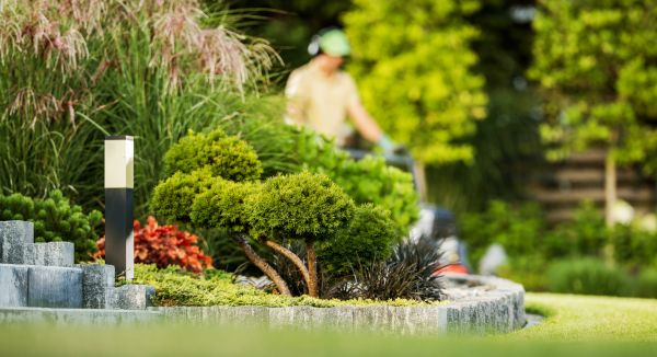 Residential Yard Maintenance Service
