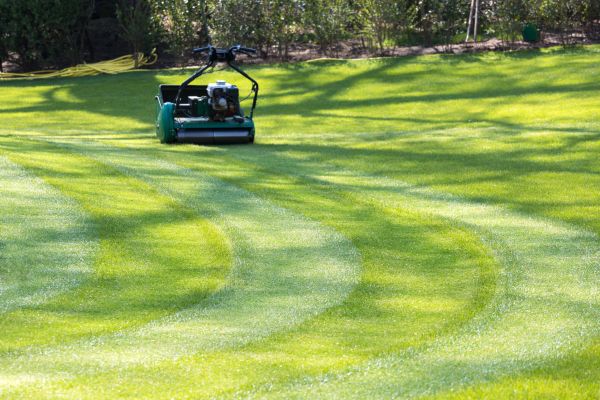 Business Lawn Mowing in Springfield