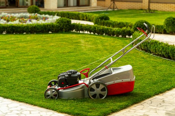 Business Grass Cutting in Springfield