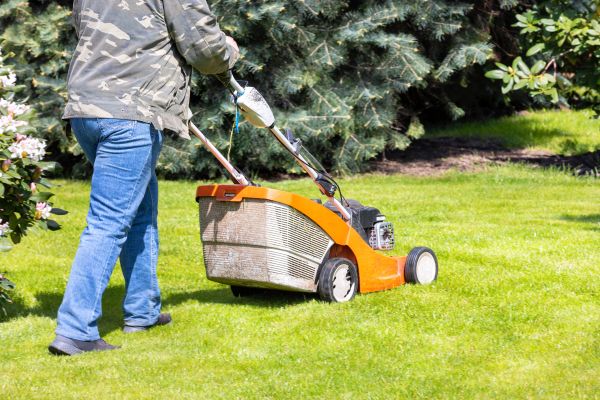 Springtime Lawn Care in Springfield