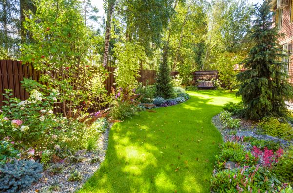 Spring Yard Maintenance in Springfield