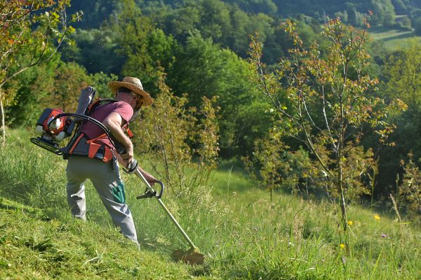 Slope Mowing in Springfield