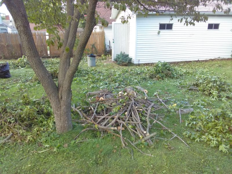 Yard Cleanup