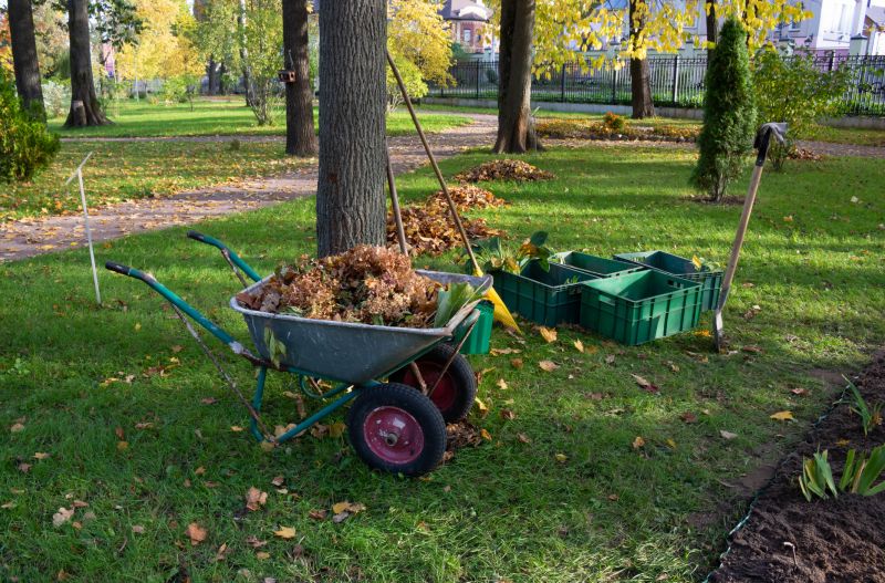 Seasonal Leaf Clearing