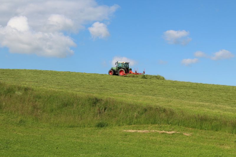 Hillside Mowing