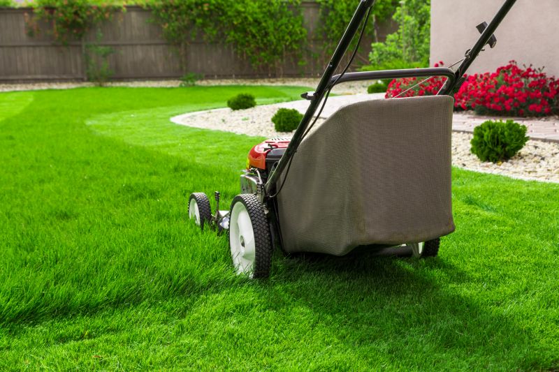 Lawn After Cutting